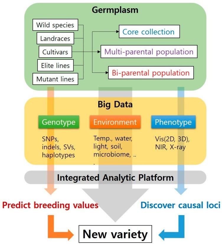 Flowchart of plant breeding in the era of genomics big data.