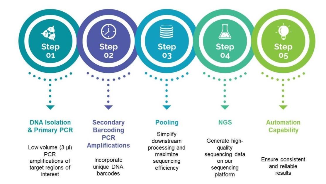 Workflow of our sequencing panels.