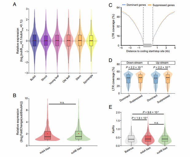 Animal and Plant Whole Genome Sequencing and Its Applications