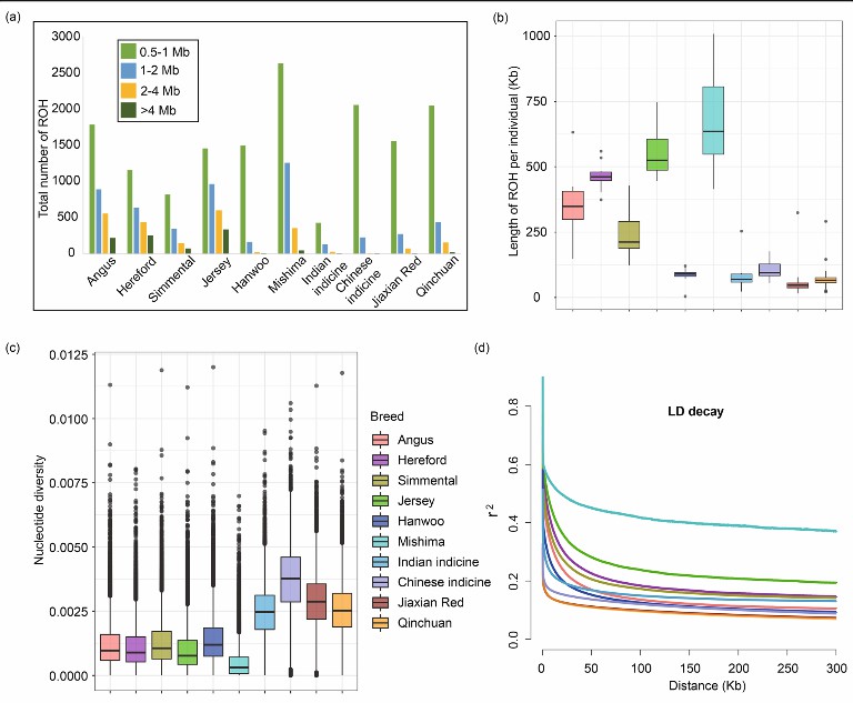 Summary statistics for genomic variation of Jiaxian red cattle (Xia et al., 2021)