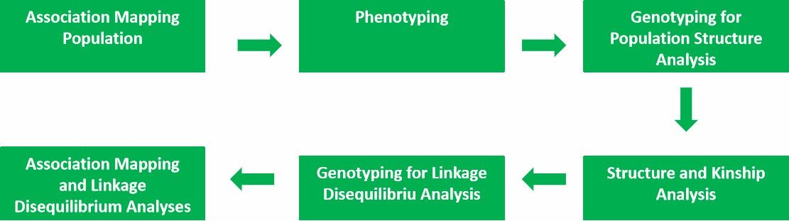 CD Genomics' association 