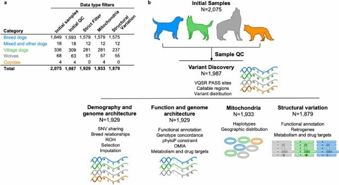 Overview of the Dog10K collection.