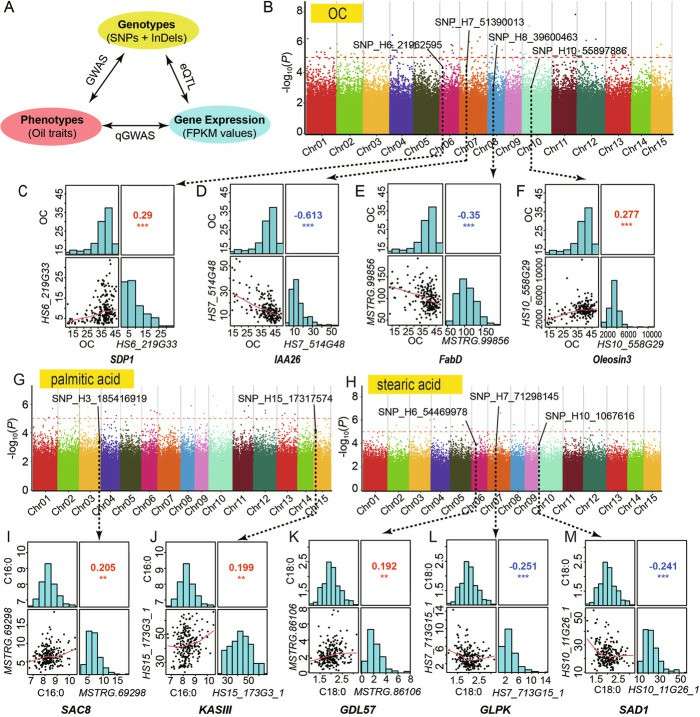 Identification and annotations of candidate genes involved in the seed oil domestication (Lin et al., 2022)