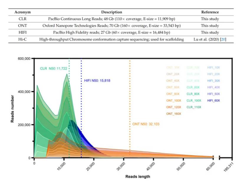 Different data depths of sequence datasets and de novo assembly subsets (Zhang et al., 2023)