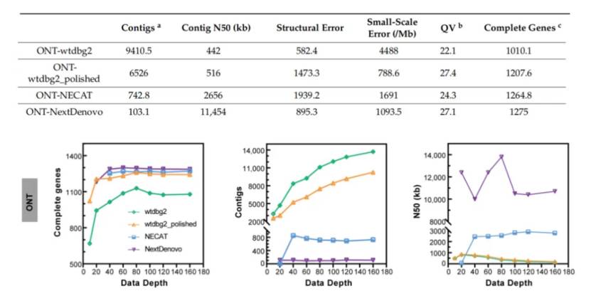 ONT data assembly effect comparison between different samples (Zhang et al., 2023)