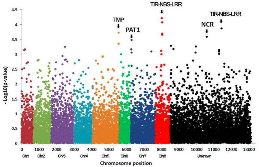 Genome-scale association mapping results (Long-Xi et al., 2016)