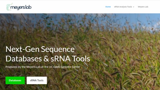 Figure 3. The interface of the NGS Databases & sRNA Tools website.