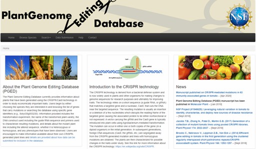 Figure 4. The interface of the Plant Genome Editing Database (PGED) website.