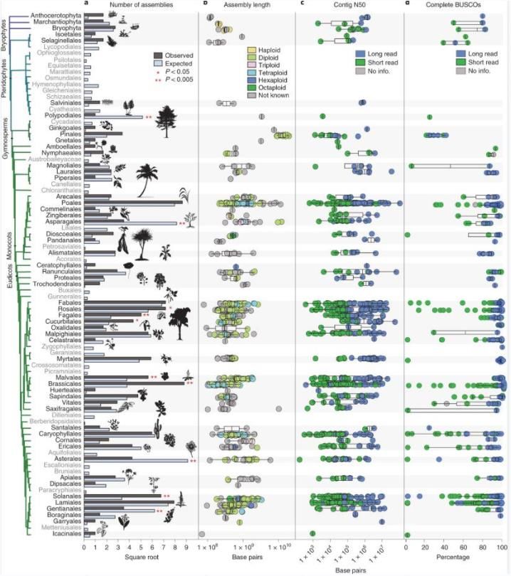 Comparison of genome availability and quality metrics for each land plant order.