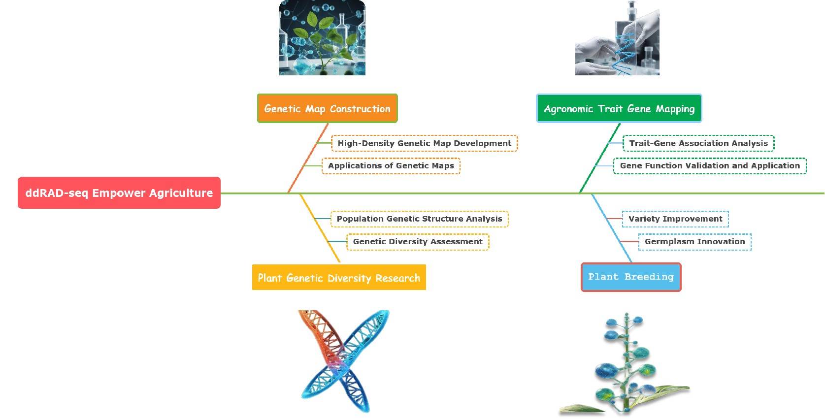 The core functions of ddRAD-seq technology in the field of agriculture
