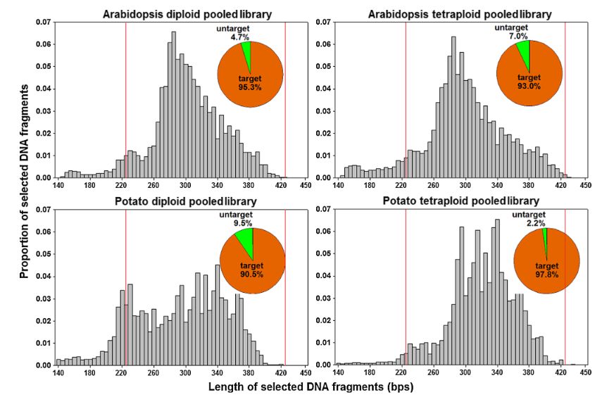 DNA fragment lengths distribution for each pooled RAD-seq dataset (Jiang et al., 2016)