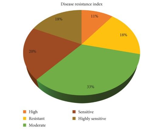 Phenotypic evaluation of powdery mildew disease resistance in 188 F5 population along with the parental lines of pepper.