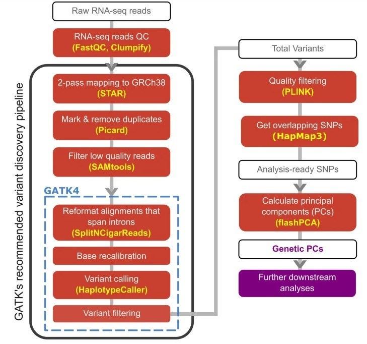 The analysis pipeline used in this study, mainly following GATK's recommended variant discovery pipeline to call genetic variants from RNAseq samples.