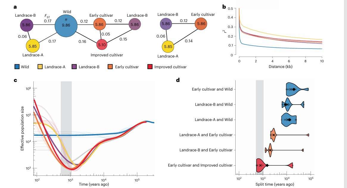 GWAS in Agriculture: Application Cases and Impacts on Agricultural Development