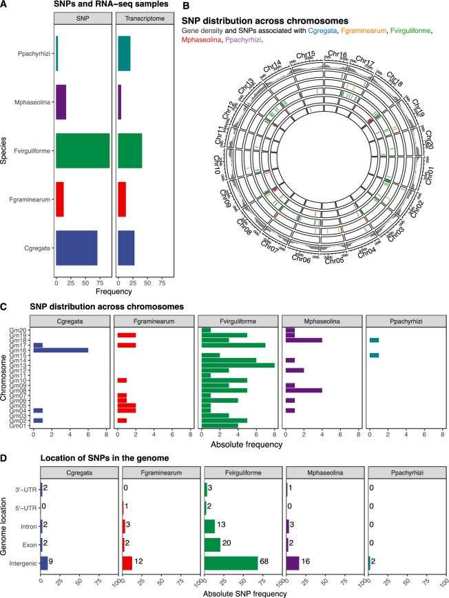 Summary of data and genomic distribution of SNPs (Almeida-Silva et al., 2021)