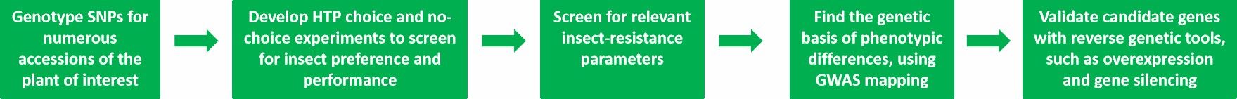 CD Genomics' insect resistance traits analysis service process.