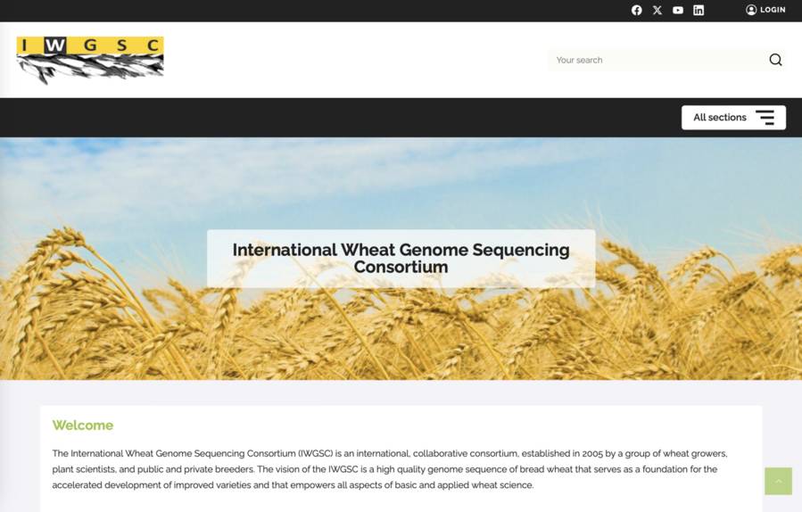 Wheat Genome Information Database
