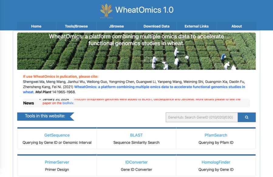 Online platform for wheat genomics data