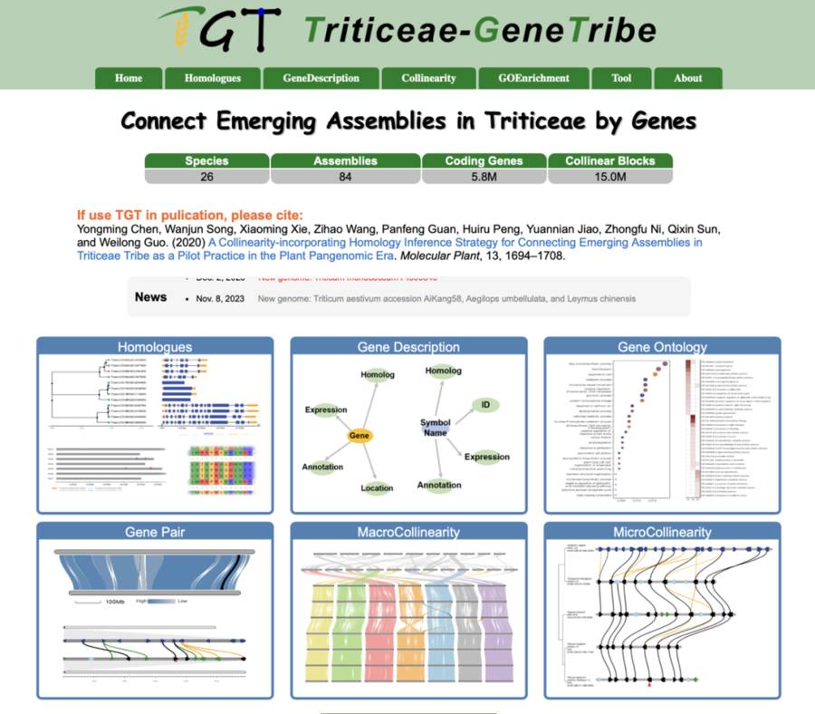 Wheat Homologous Gene Database