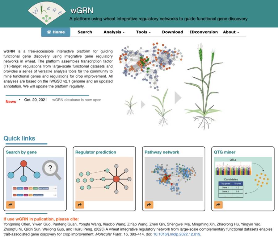 Interactive platform for exploring functional genes in wheat by integrated gene regulatory network