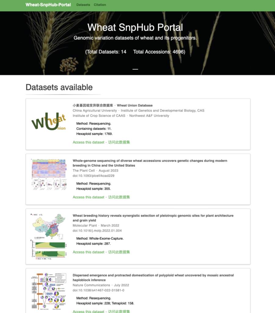 Genome variation data set of wheat and its ancestors