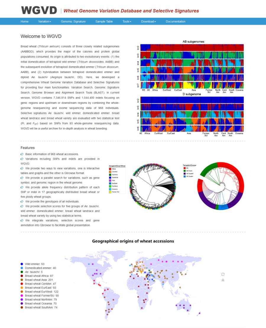 The database of wheat genome variation and selection signals
