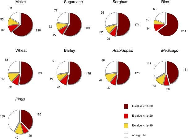 Comparison of genes to species-specific EST collections.