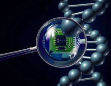 microRNA microarray services