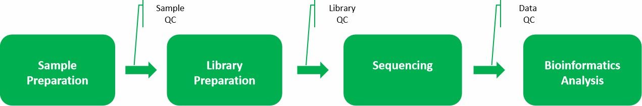 Workflow of crop genome sequencing service 