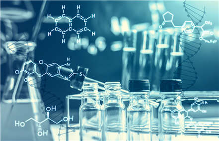 Plant Genome Sequencing