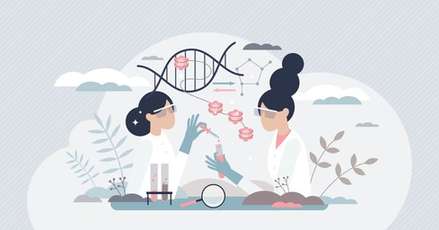 Restriction Site Associated DNA Sequencing (RAD-Seq)