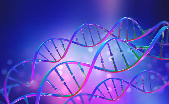 Genetic Linkage Map