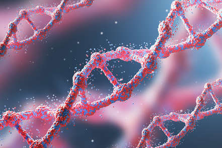 Soybean Genome Sequencing