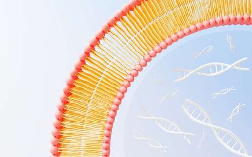 Identification and Characterization of Long Non-Coding RNA (lncRNA)