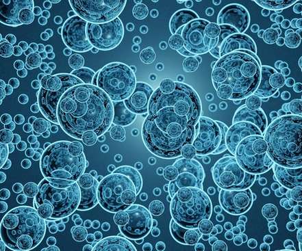 DNA Typing Services