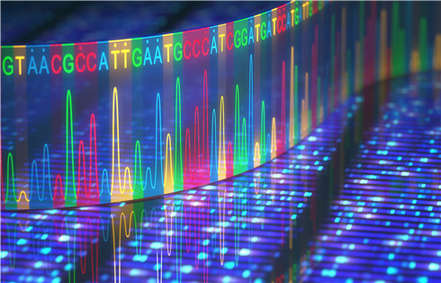 16S and ITS rRNA Sequencing