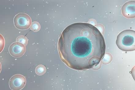 Exome Sequencing