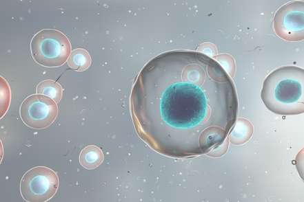 Heterosis Analysis