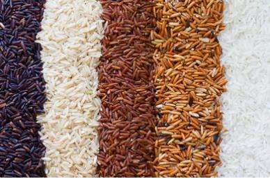 Rice SNP Panel