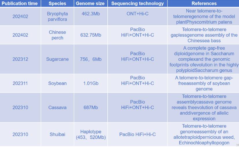 The Main Thoughts and Technologies of T2T Genome in Research