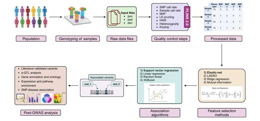 The step-by-step workflow of the proposed framework (Jangale et al., 2024)