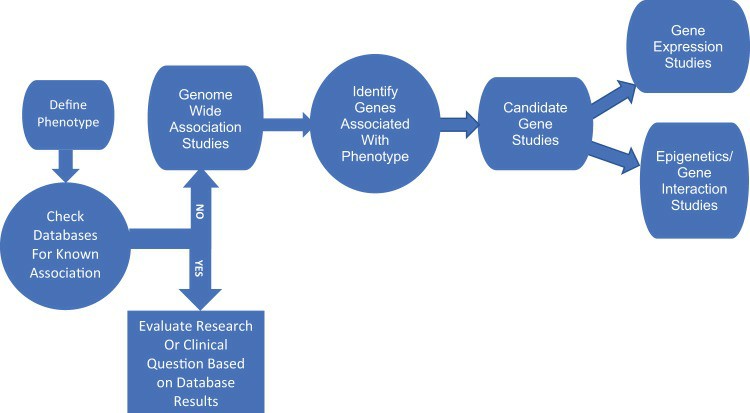 An example pathway for uncovering genotype - phenotype associations via GWAS (Wright et al., 2017)