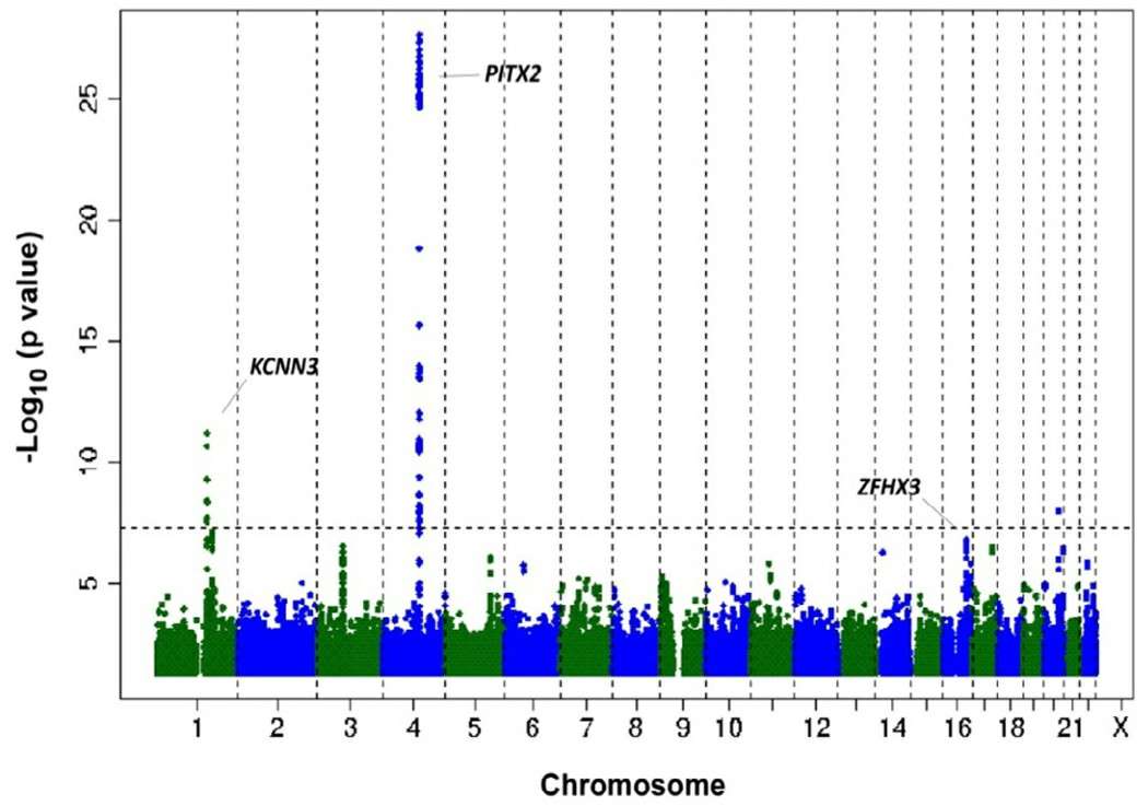 Genetic loci associated with AF were identified through GWAS (Milan et al., 2010)