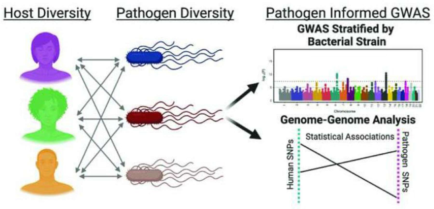 GWAS Informed by Pathogens (Bourgeois et al., 2020)