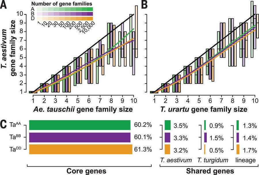 Gene conservation, along with the wheat pan- and core genes (IWGSC., 2014)