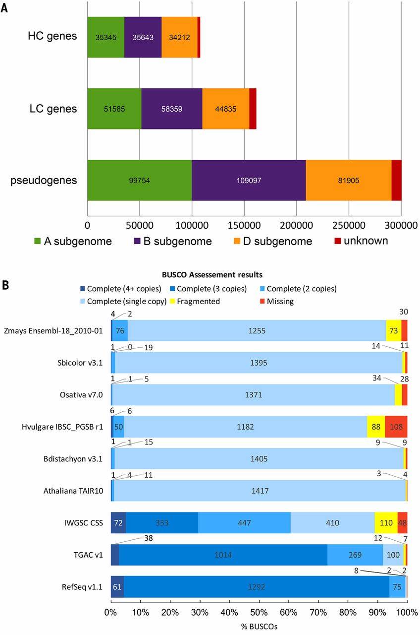 Assessment of automated gene annotation (IWGSC et al., 2018)