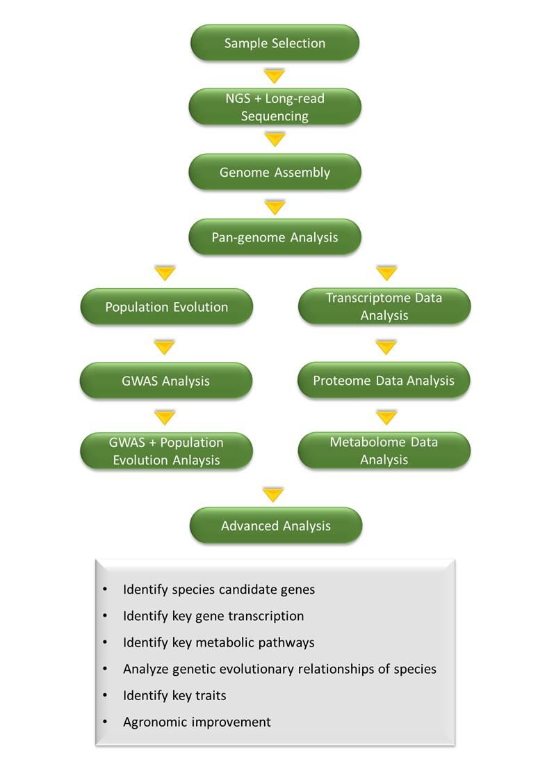 CD Genomics resequencing + multiomics data analysis service