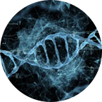 eccDNA Research Solutions