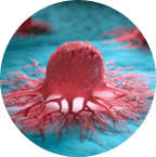 Immuno-Oncology Solutions