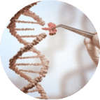 Genome Editing and Engineering Solutions